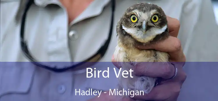 Bird Vet Hadley - Michigan