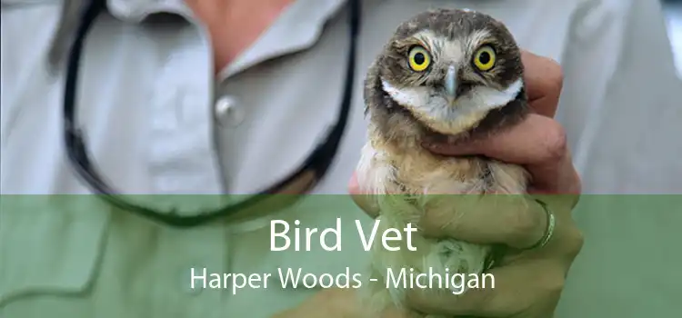 Bird Vet Harper Woods - Michigan