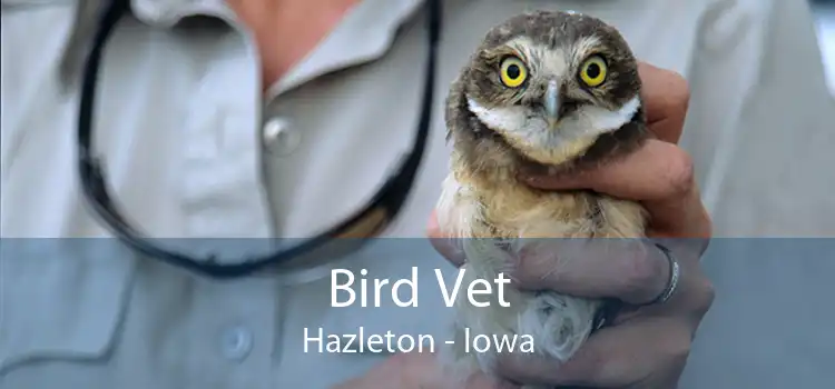Bird Vet Hazleton - Iowa