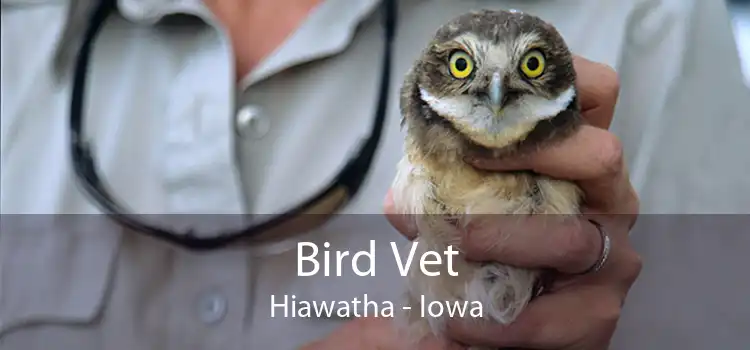 Bird Vet Hiawatha - Iowa