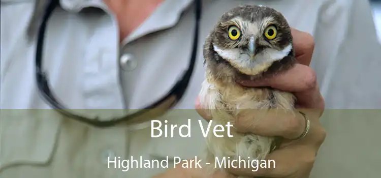 Bird Vet Highland Park - Michigan