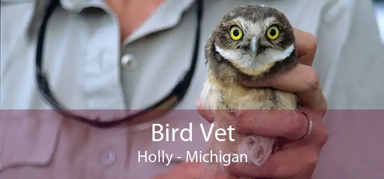 Bird Vet Holly - Michigan