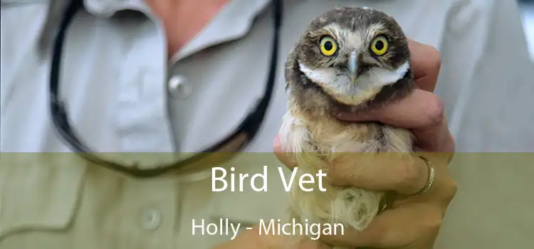 Bird Vet Holly - Michigan