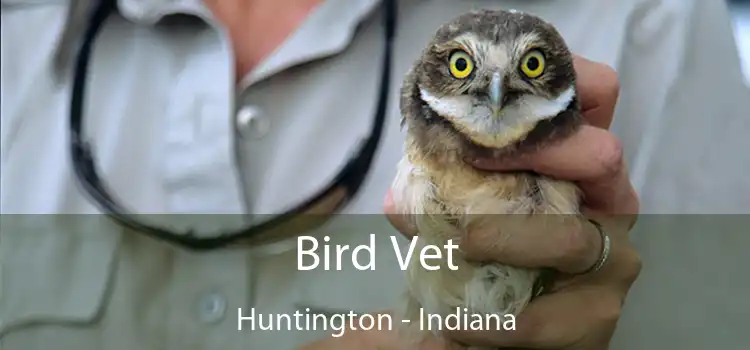 Bird Vet Huntington - Indiana