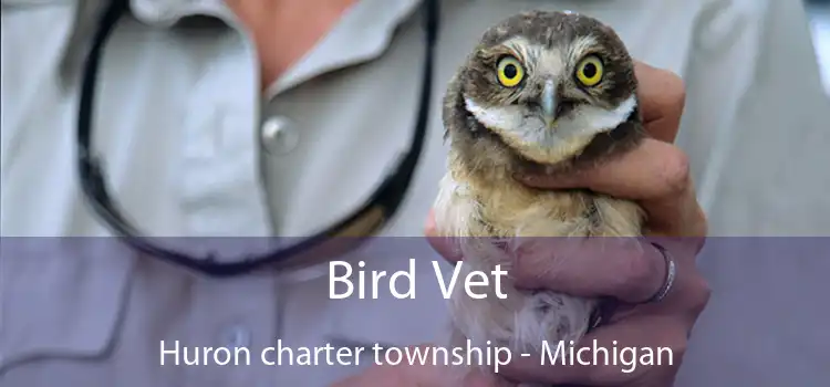 Bird Vet Huron charter township - Michigan