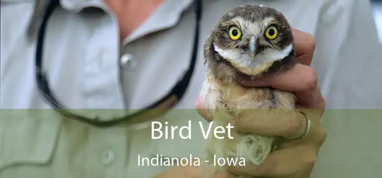 Bird Vet Indianola - Iowa