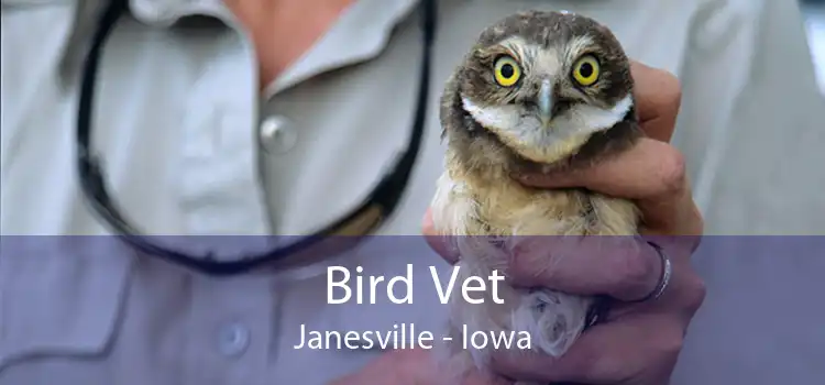 Bird Vet Janesville - Iowa