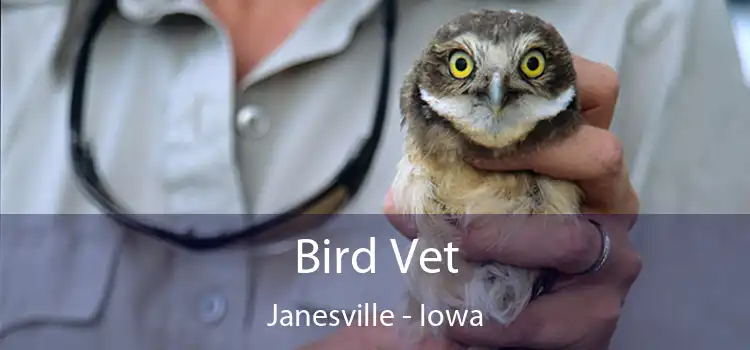 Bird Vet Janesville - Iowa