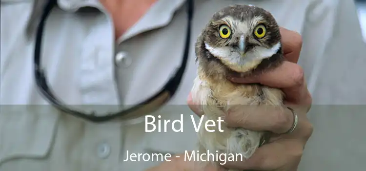 Bird Vet Jerome - Michigan