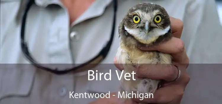 Bird Vet Kentwood - Michigan