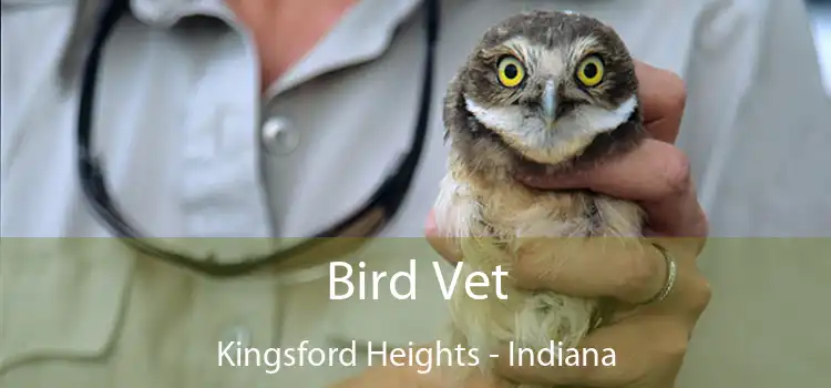 Bird Vet Kingsford Heights - Indiana