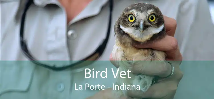 Bird Vet La Porte - Indiana