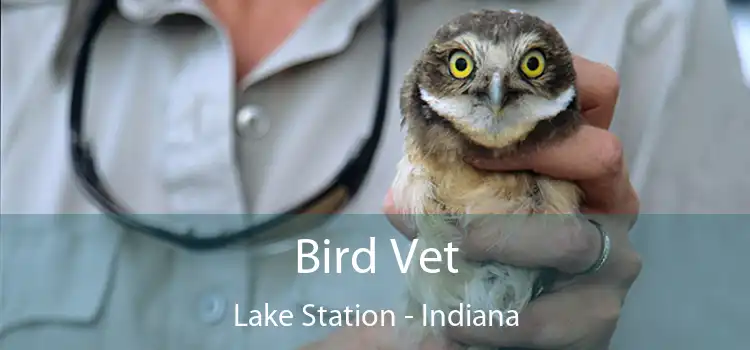 Bird Vet Lake Station - Indiana