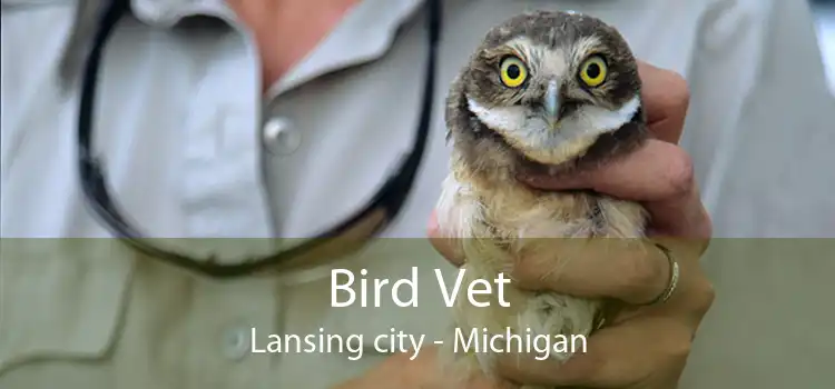 Bird Vet Lansing city - Michigan
