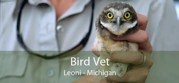 Bird Vet Leoni - Michigan