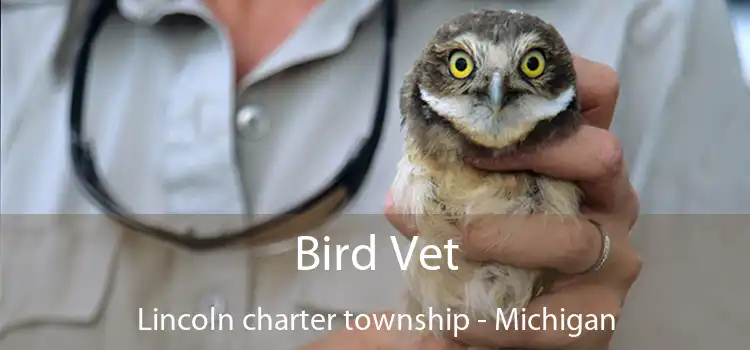 Bird Vet Lincoln charter township - Michigan