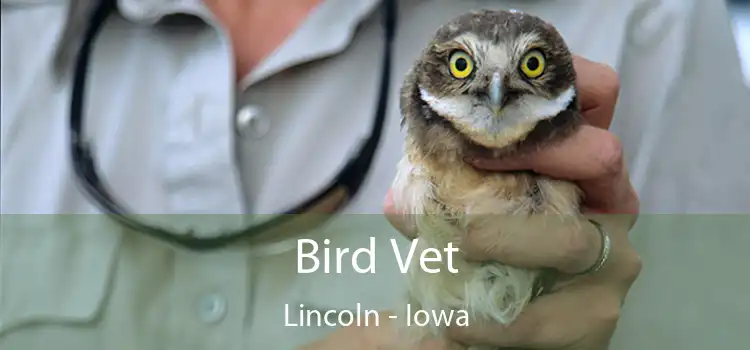 Bird Vet Lincoln - Iowa