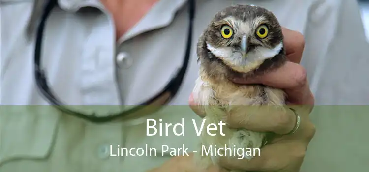 Bird Vet Lincoln Park - Michigan