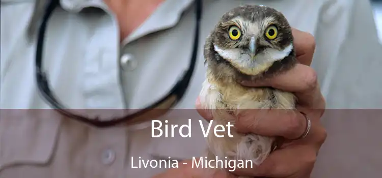 Bird Vet Livonia - Michigan