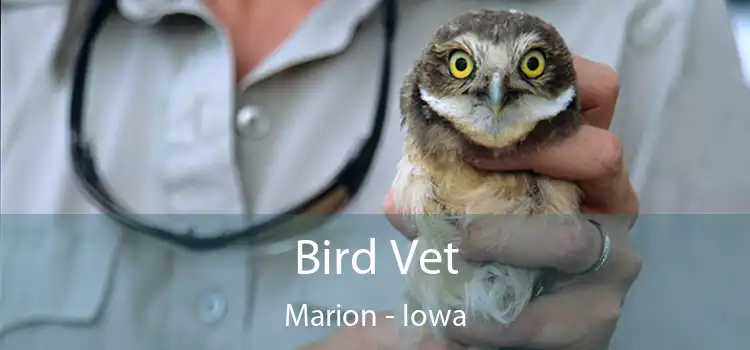 Bird Vet Marion - Iowa