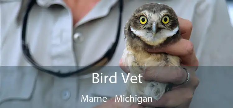 Bird Vet Marne - Michigan