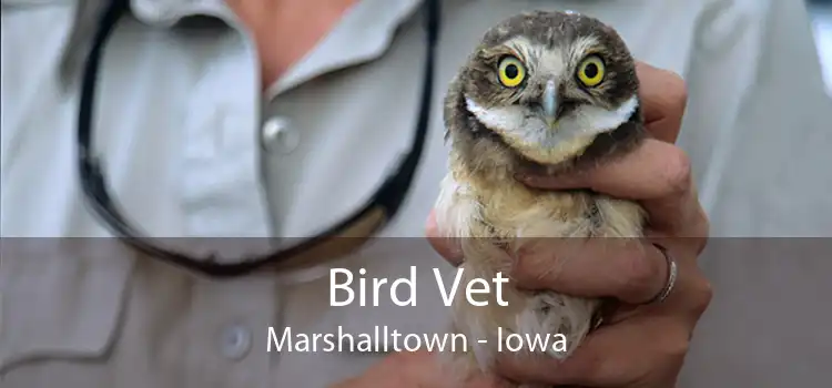 Bird Vet Marshalltown - Iowa
