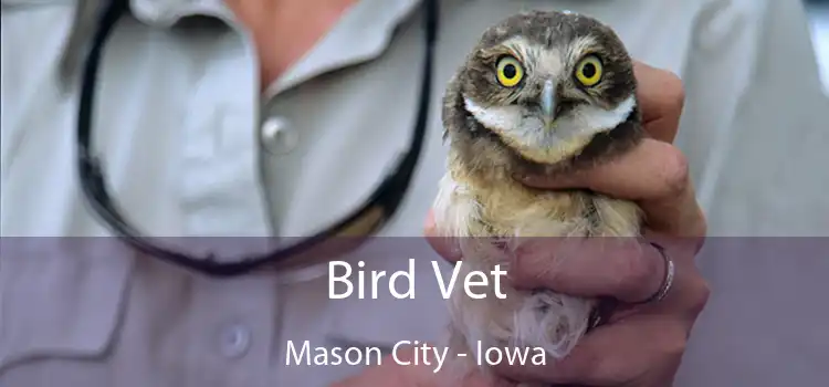 Bird Vet Mason City - Iowa