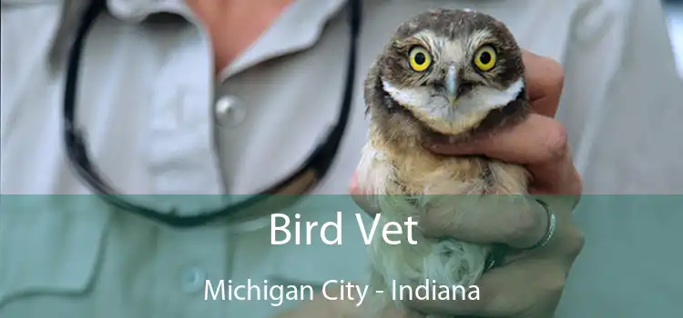 Bird Vet Michigan City - Indiana