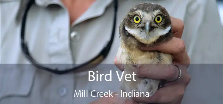 Bird Vet Mill Creek - Indiana