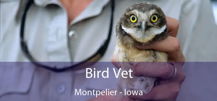 Bird Vet Montpelier - Iowa