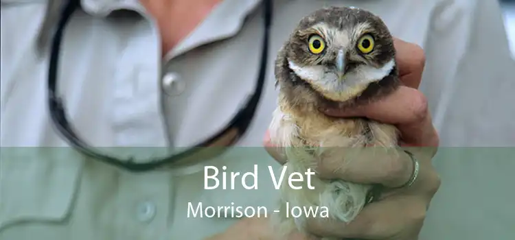 Bird Vet Morrison - Iowa