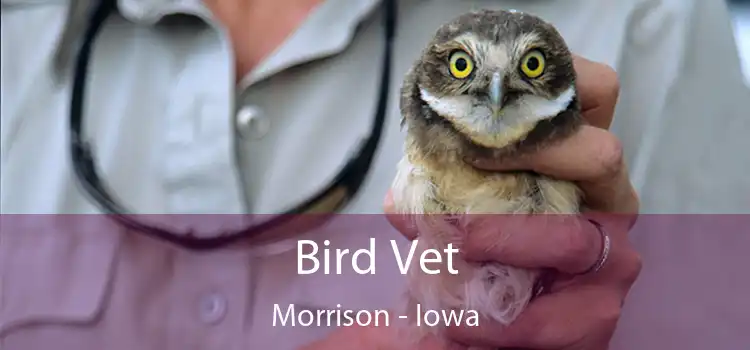 Bird Vet Morrison - Iowa