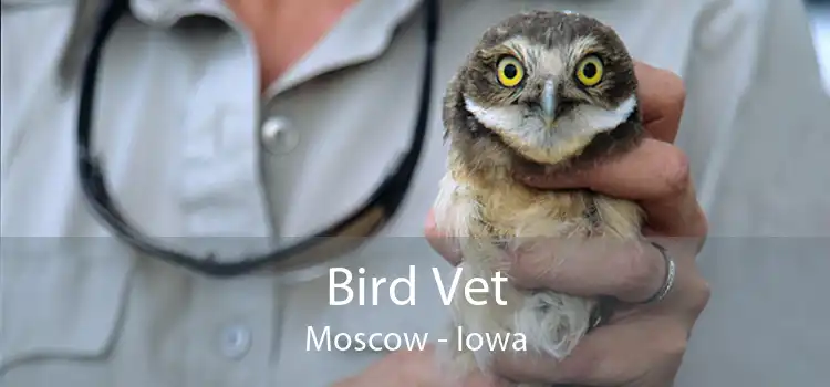 Bird Vet Moscow - Iowa