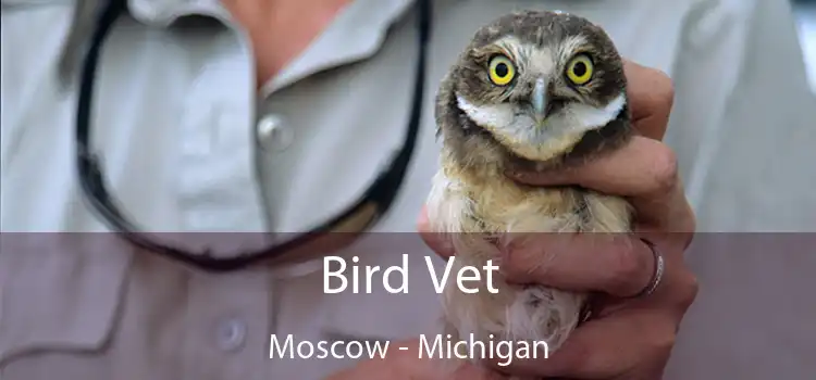 Bird Vet Moscow - Michigan