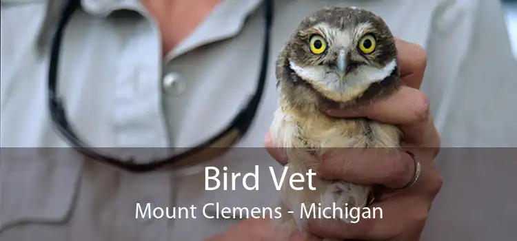 Bird Vet Mount Clemens - Michigan