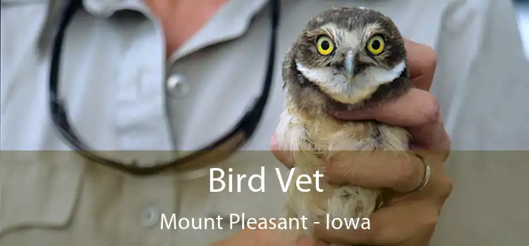 Bird Vet Mount Pleasant - Iowa