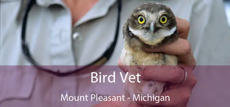 Bird Vet Mount Pleasant - Michigan