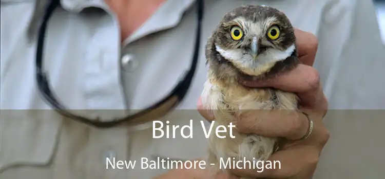 Bird Vet New Baltimore - Michigan