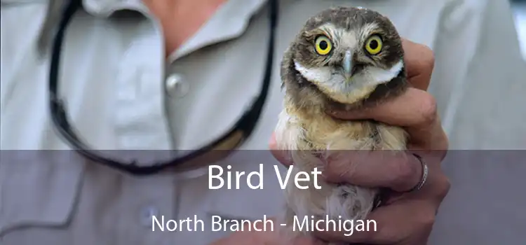 Bird Vet North Branch - Michigan