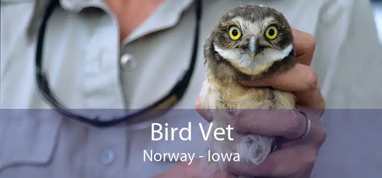 Bird Vet Norway - Iowa