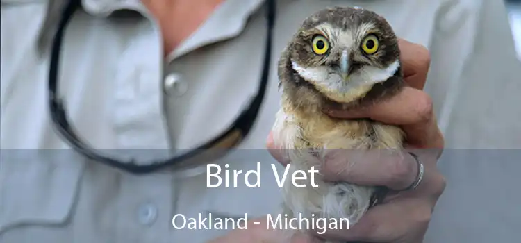 Bird Vet Oakland - Michigan