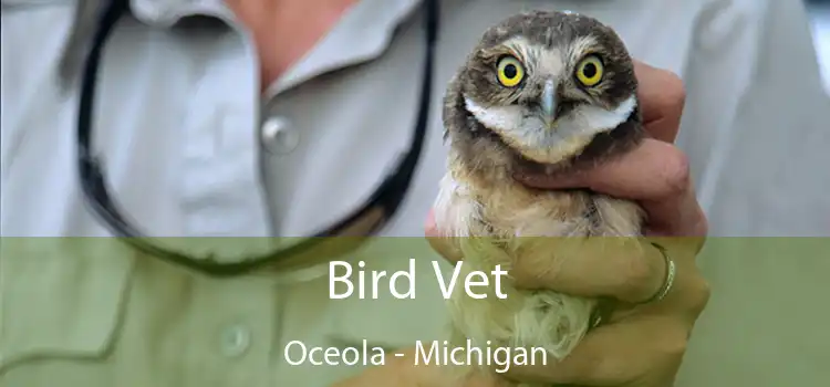 Bird Vet Oceola - Michigan