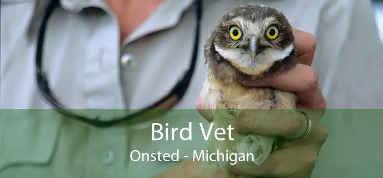 Bird Vet Onsted - Michigan