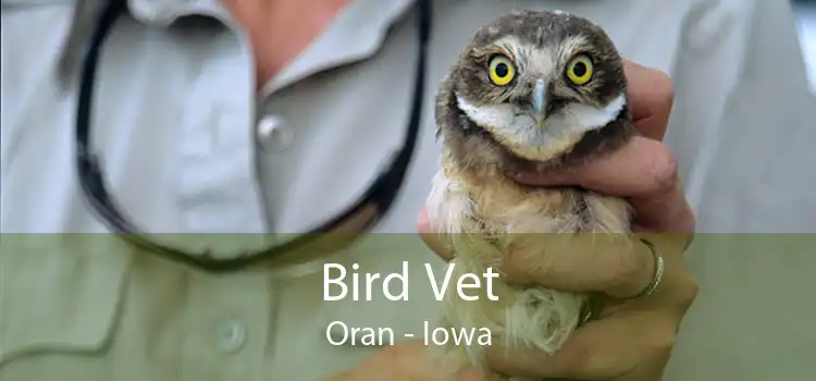 Bird Vet Oran - Iowa