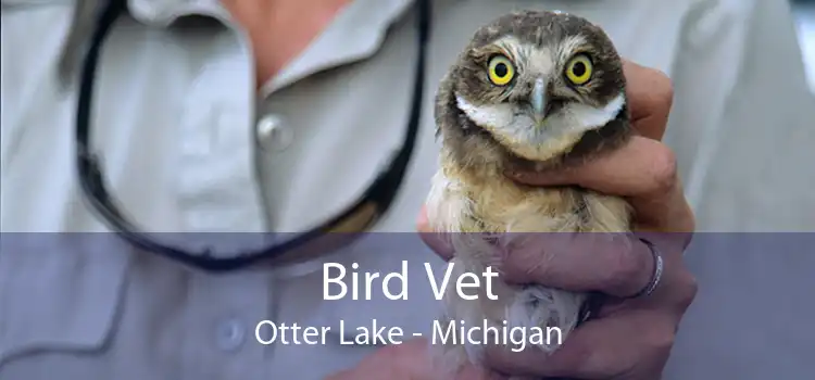 Bird Vet Otter Lake - Michigan