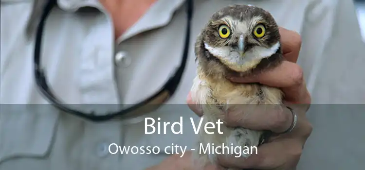 Bird Vet Owosso city - Michigan