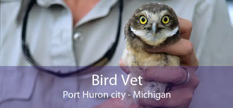 Bird Vet Port Huron city - Michigan