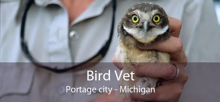 Bird Vet Portage city - Michigan