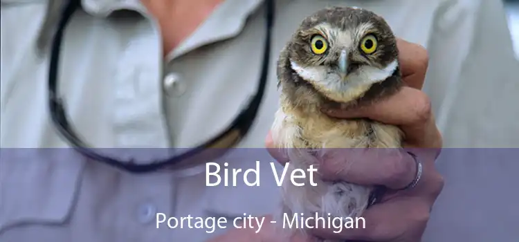 Bird Vet Portage city - Michigan