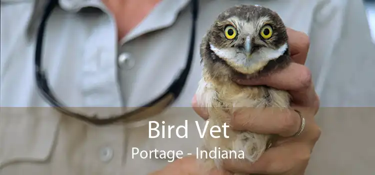 Bird Vet Portage - Indiana
